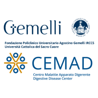 Fondazione Policlinico Universitario Agostino Gemelli IRCCS Logo of Fondazione Policlinico Universitario Agostino Gemelli IRCCS